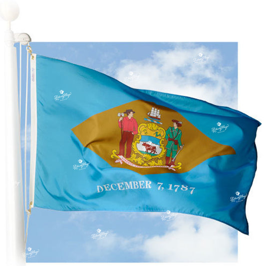 Delaware Nylon Outdoor Flags