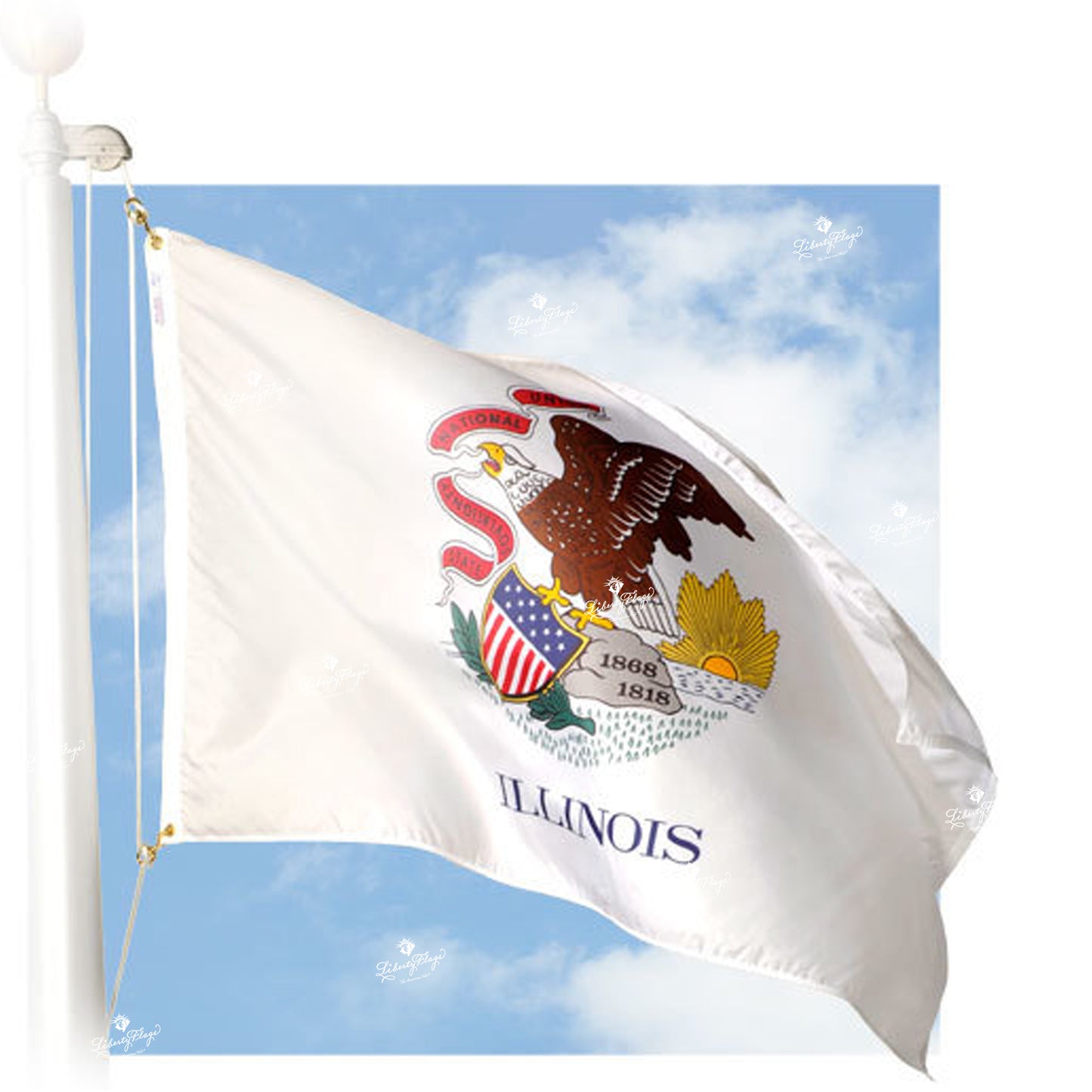 Illinois Nylon Outdoor Flags