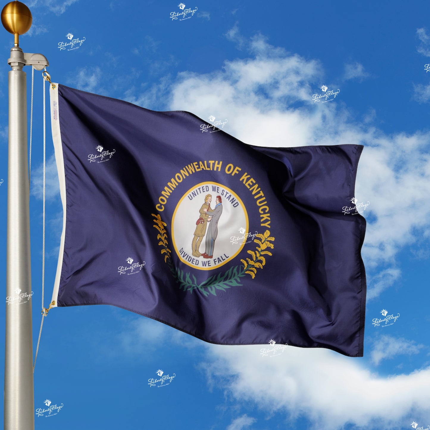 Kentucky Polyester Outdoor Flags