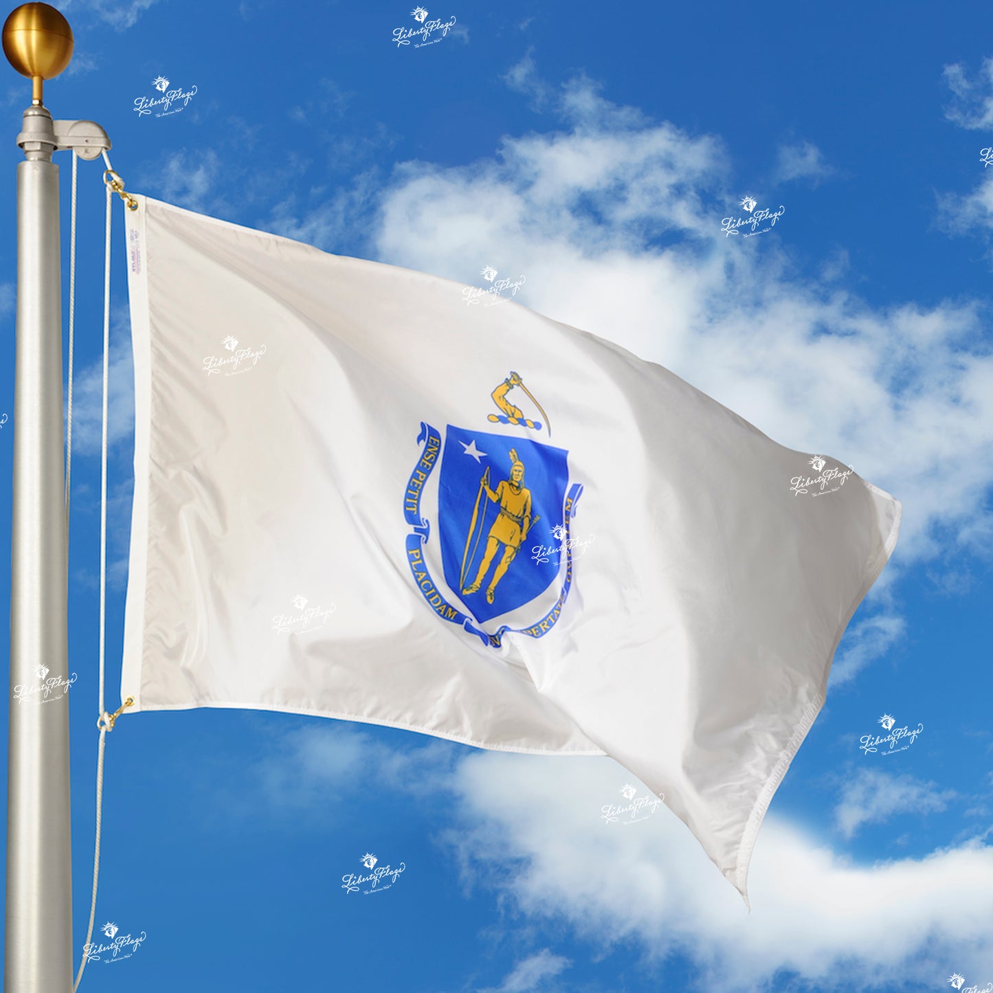 Massachusetts Polyester Outdoor Flags