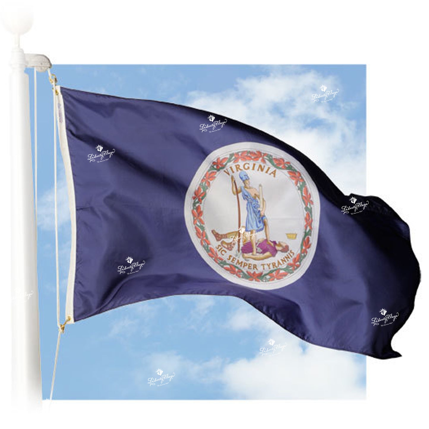 Virginia Nylon Outdoor Flags