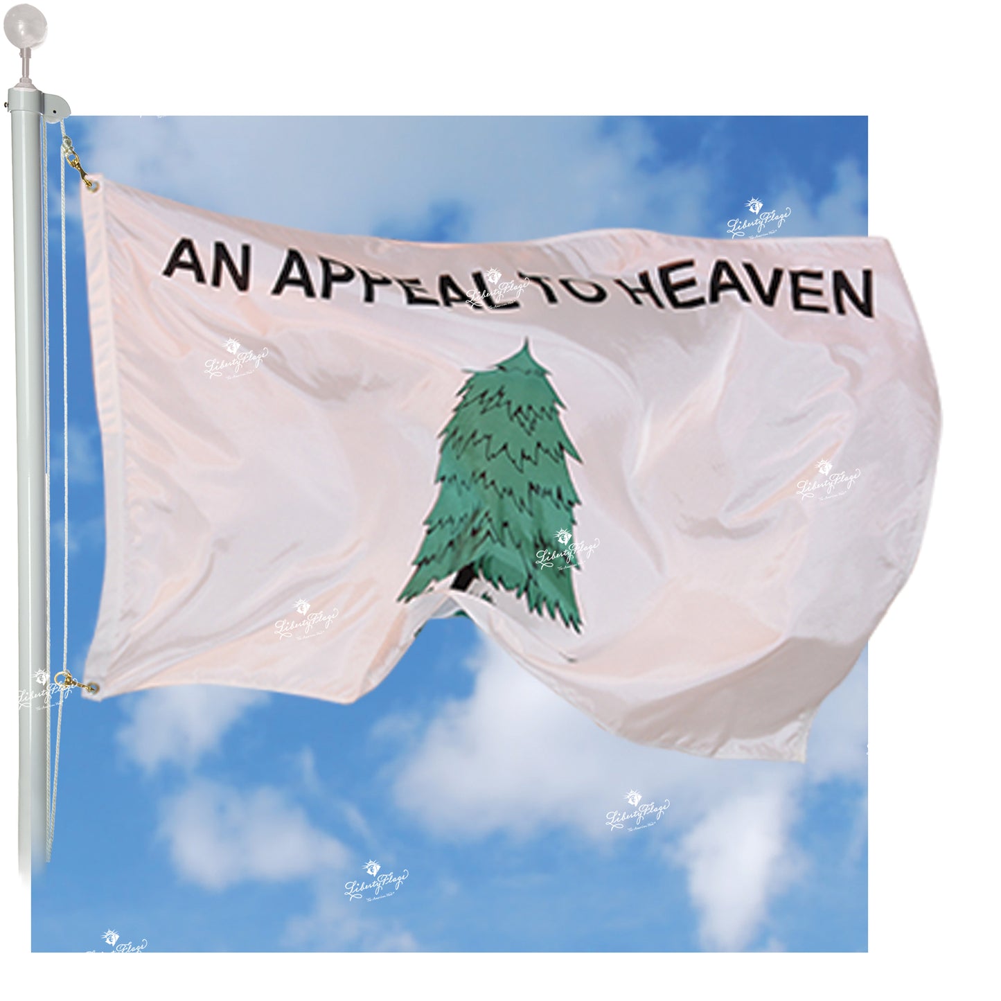 Washington Cruisers "An Appeal to Heaven" Outdoor Flag