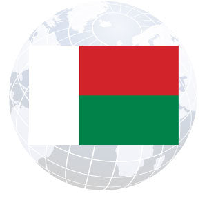 Madagascar Outdoor Flags